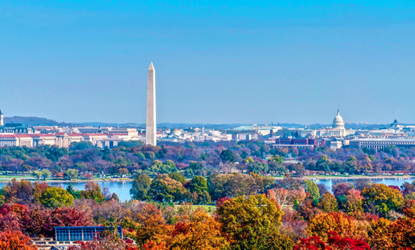 Autumn at the United States Capitol